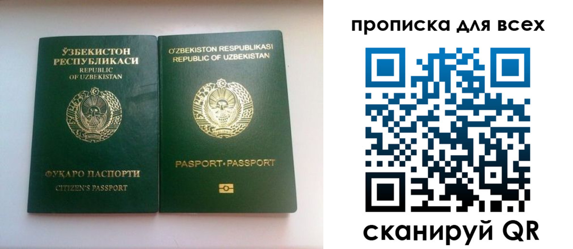 прописка для школы в Таганроге